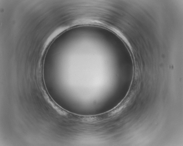 X0000060791053200511241840