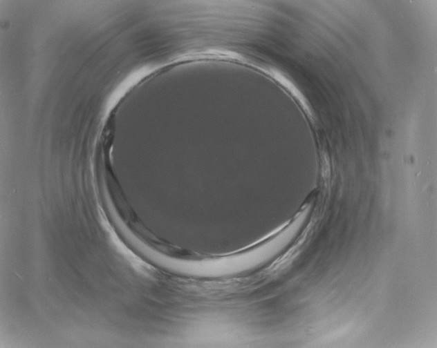 X0000060791054200511241840