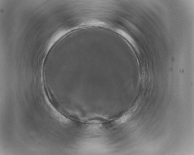 X0000060791055200511241840