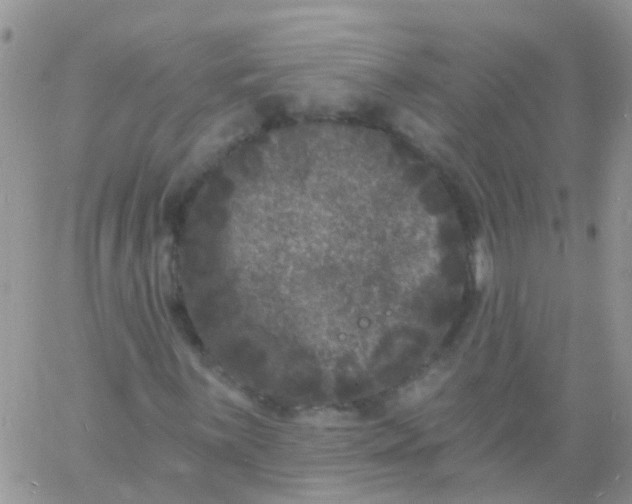 X0000060791059200511241839