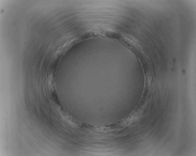 X0000060791060200511241839