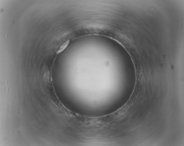 X0000060791061200511241839