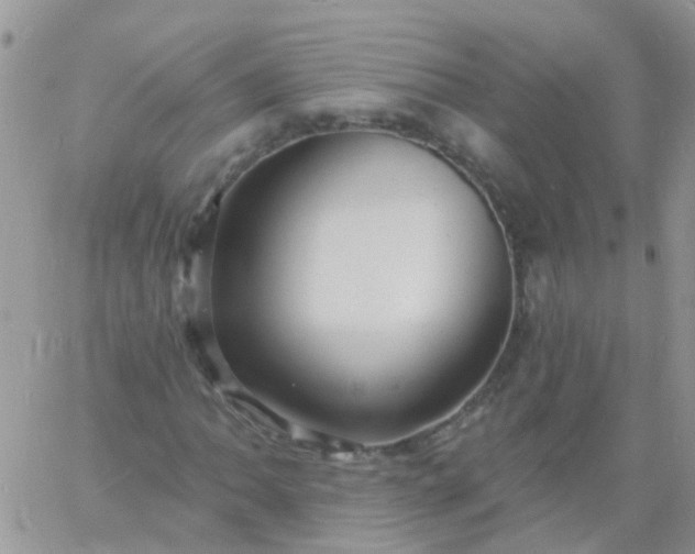 X0000060791062200511241839