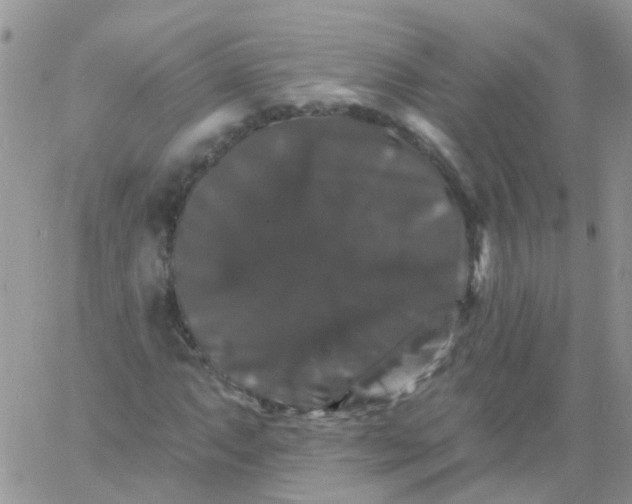 X0000060791063200511241839