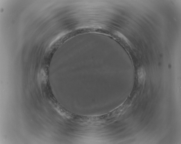 X0000060791064200511241839