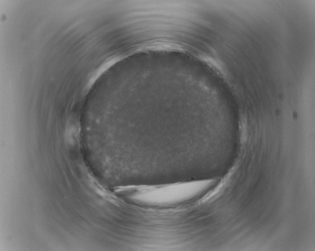 X0000060791065200511241839