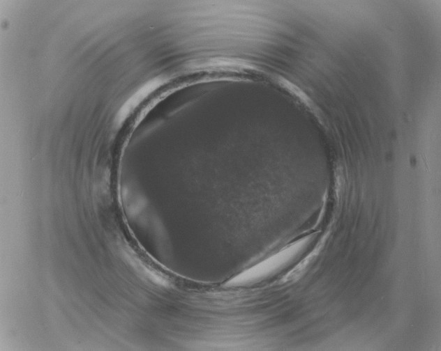 X0000060791066200511241839