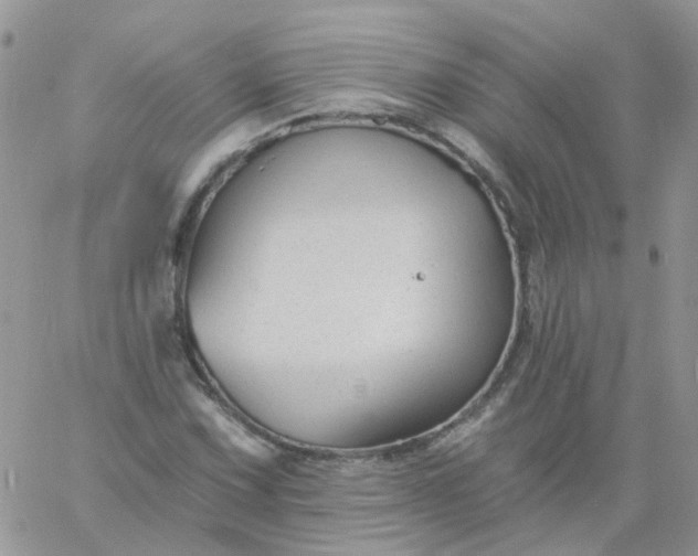 X0000060791067200511241839