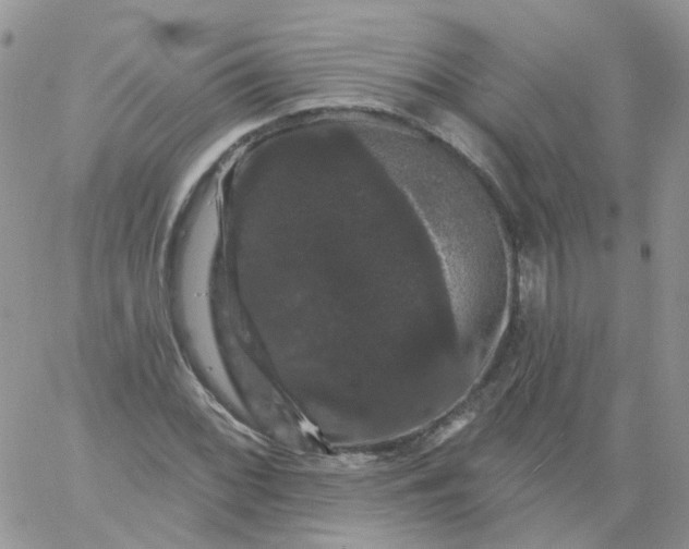 X0000060791068200511241839