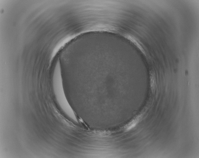 X0000060791069200511241839