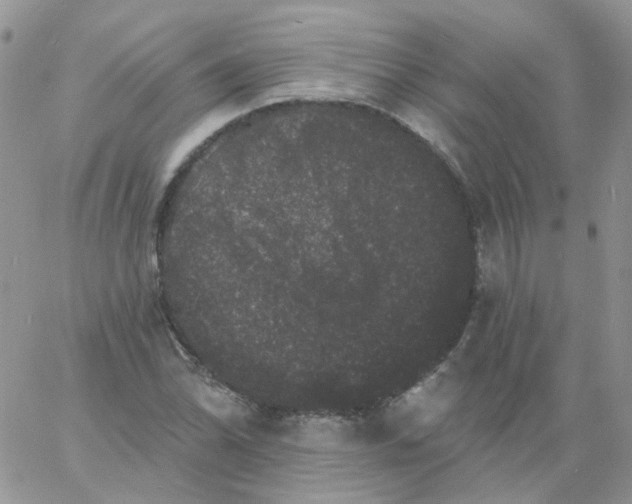 X0000060791070200511241839