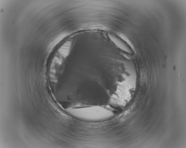 X0000060791071200511241839