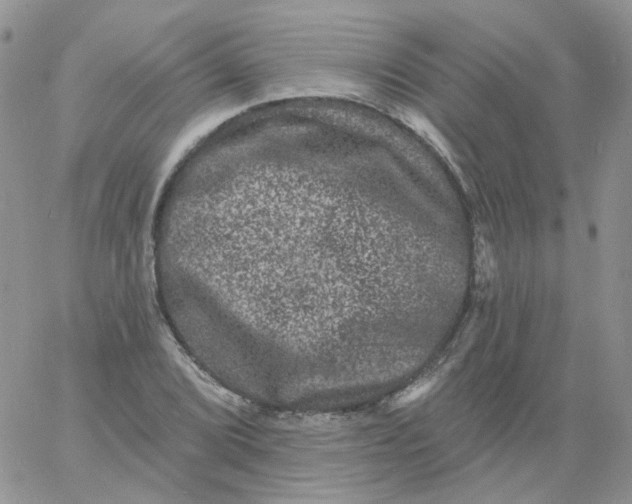 X0000060791072200511241839