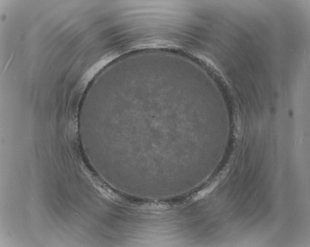 X0000060791073200511241839