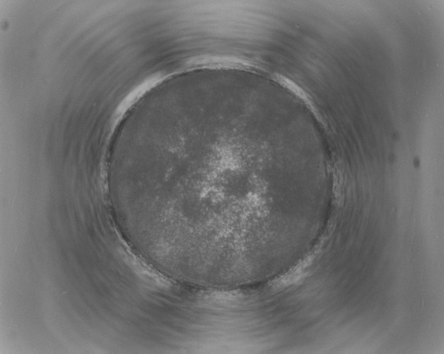 X0000060791074200511241839