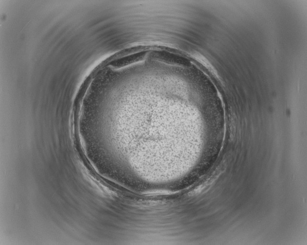 X0000060791076200511241839