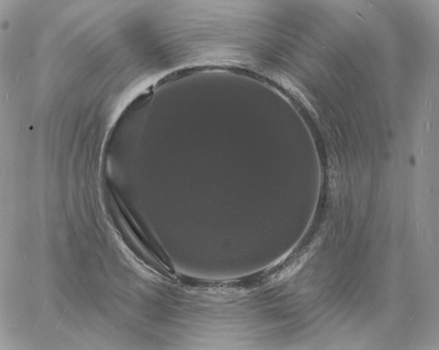 X0000060791077200511241839