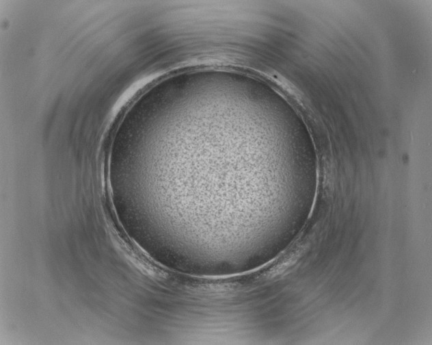 X0000060791078200511241839