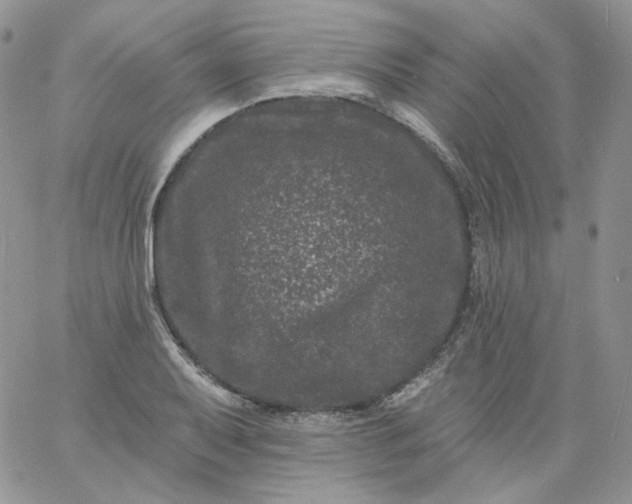 X0000060791079200511241839