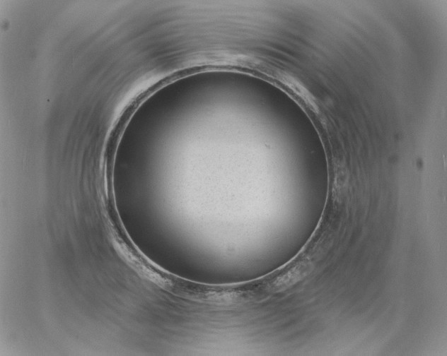 X0000060791080200511241839