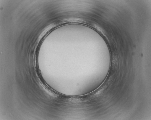 X0000060791082200511241839