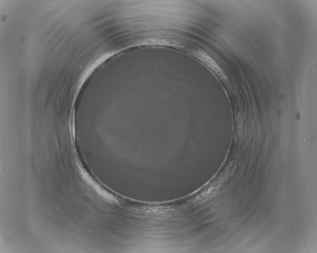 X0000060791084200511241839