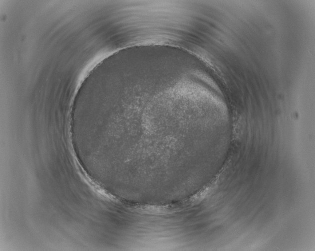 X0000060791086200511241839