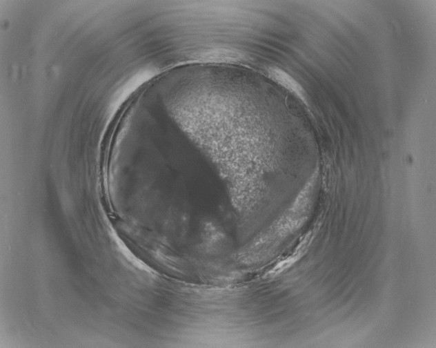 X0000060791087200511241839