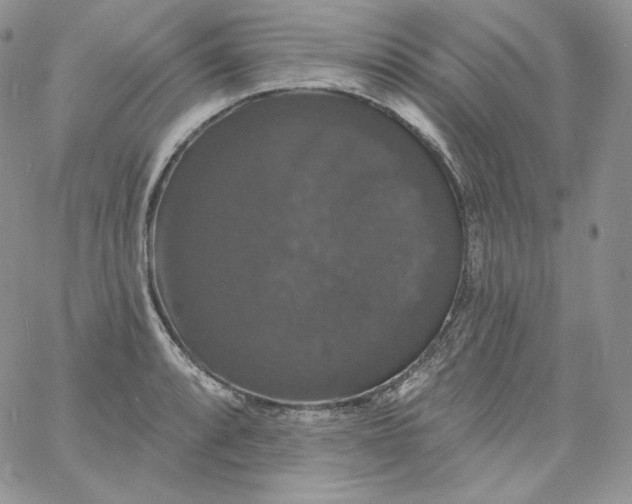 X0000060791088200511241839