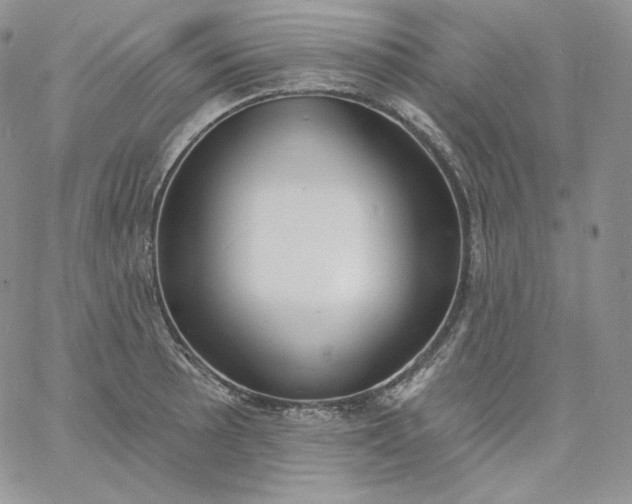 X0000060791089200511241839