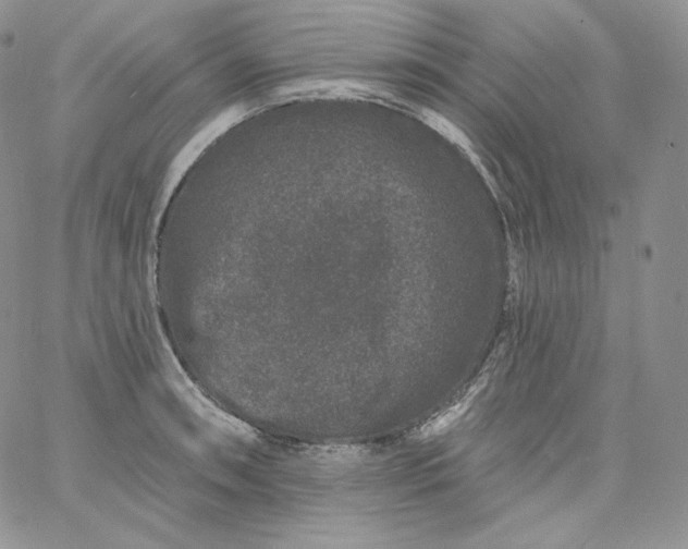 X0000060791090200511241839