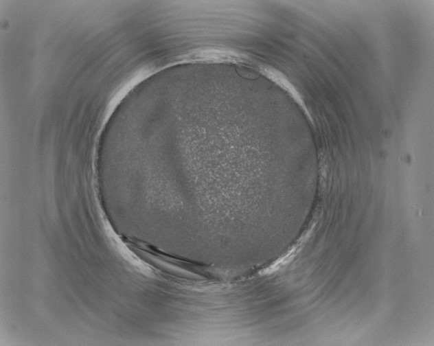 X0000060791091200511241839