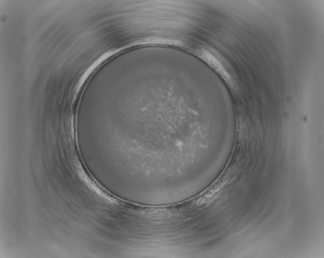 X0000060791092200511241839