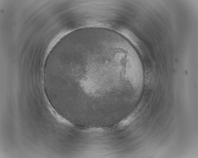 X0000060791094200511241839