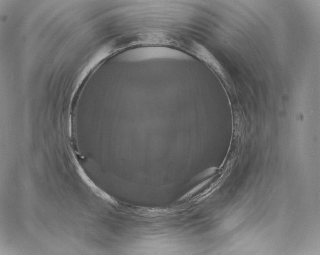 X0000060791095200511241839