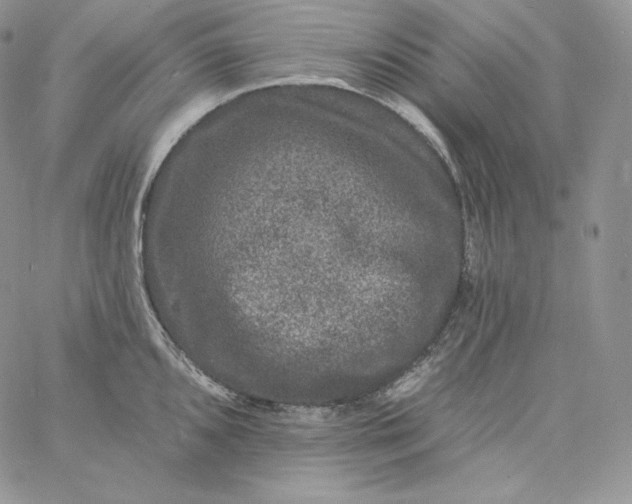 X0000060791096200511241839