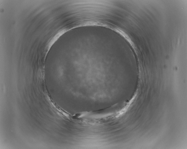 X0000060791097200511241839