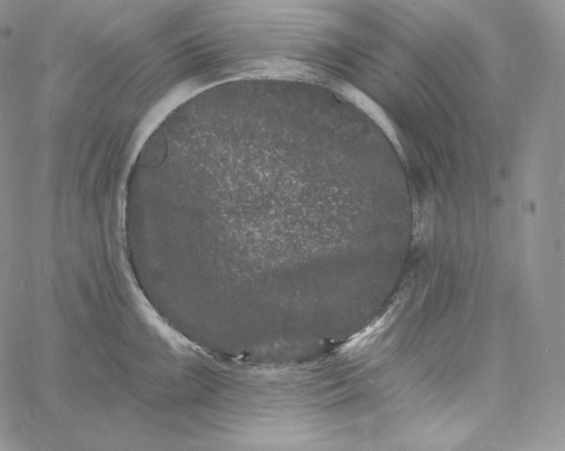 X0000060791099200511241839