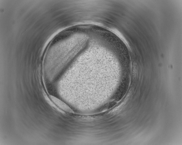 X0000060791100200511241839