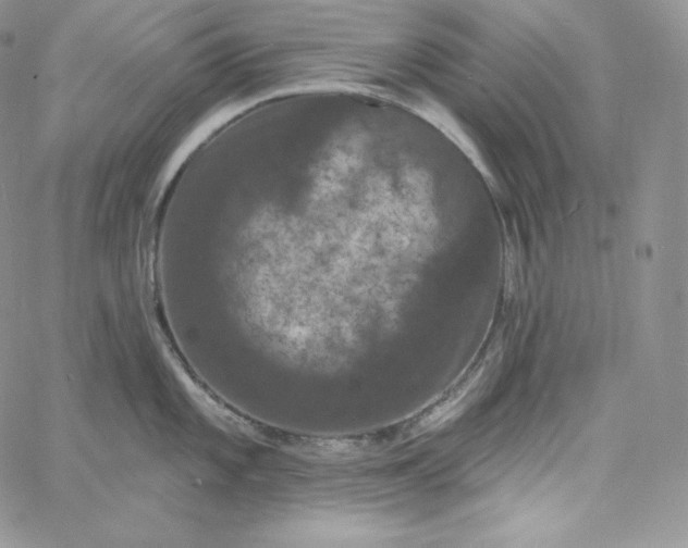 X0000060791101200511241838