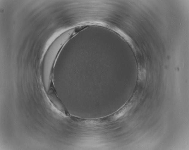 X0000060791102200511241838