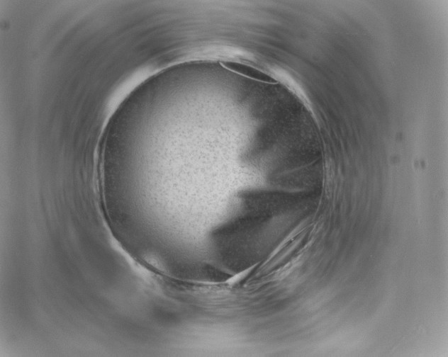 X0000060791103200511241838