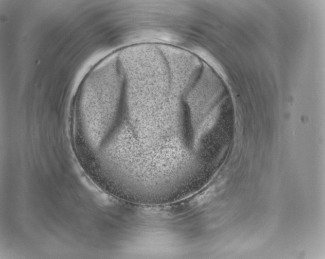 X0000060791104200511241838