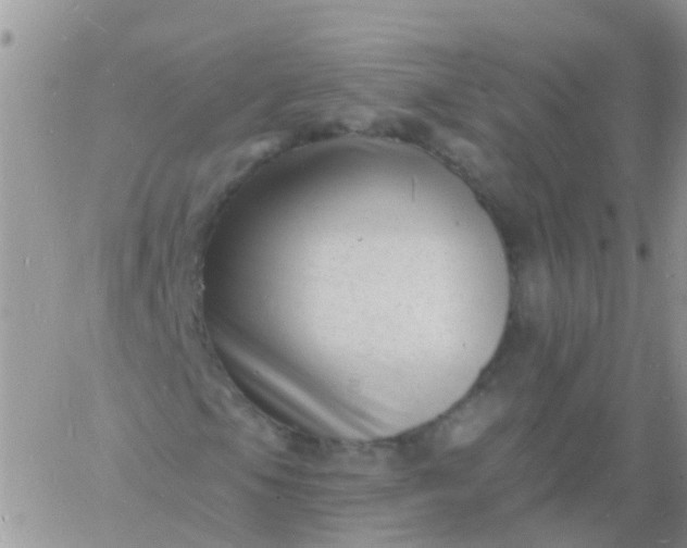 X0000060791105200511241837