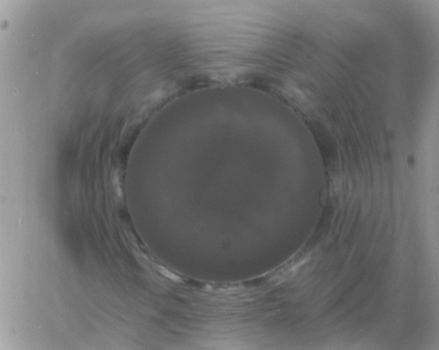 X0000060791106200511241837