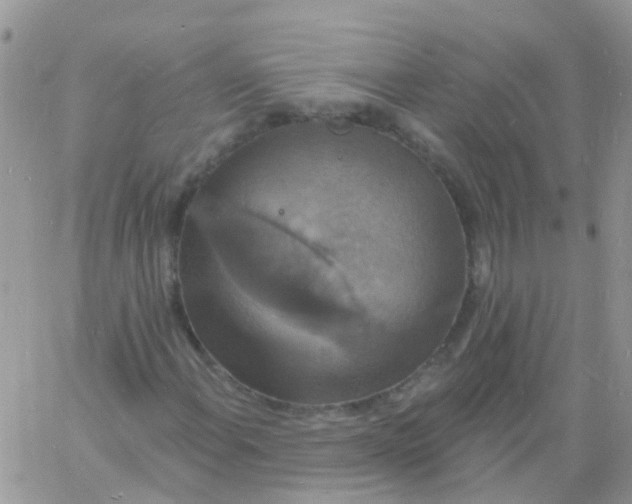 X0000060791108200511241837