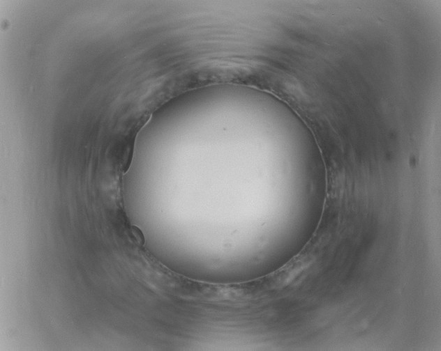 X0000060791109200511241837