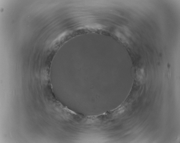 X0000060791110200511241837