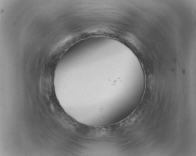 X0000060791111200511241837