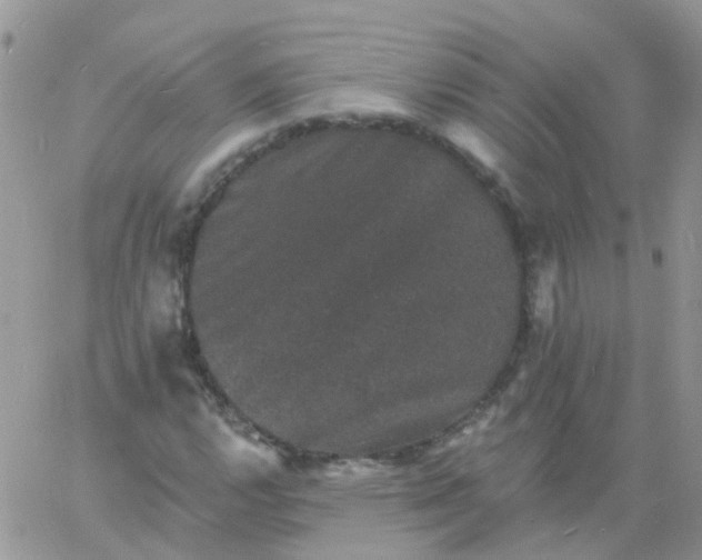 X0000060791112200511241837